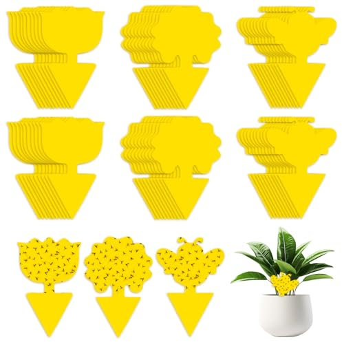 AiQInu 60 Pezzi Trappola per Moscerini, Gialle Trappola per Mosche Della Frutta, per Insetti Volanti Contro i Parassiti, Mosca Bianca, Afidi, Moscerini Fungini per Piante da Giardino