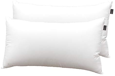 DHestia Hostelería - Almohada Núcleo de Fibra Hueca Siliconada y Funda de 100% Microfibra (Pack 2 uds 70 cm)