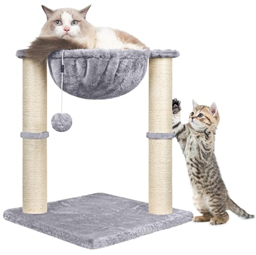 Cat Scratching Post, 50cm Cat Tree with Cat Hammock Bed, Scratching Posts for Indoor Cats with Hanging Ball Toy, Small Cat Tree for Kitten Pets Playing and Relaxing, Grey