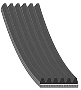 Febi-Bilstein 28917 - Cinghia Poly-V