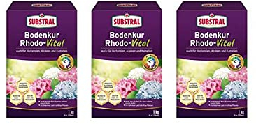Substral rhodo-vital – Corrector de suelos (3 kg – Suelo plástico para tratamiento del suelo bajo Moor Bancal Plantas o.ä