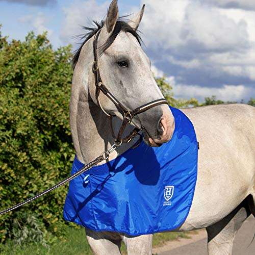 Harrison Howard HHorse Shoulder Guard Anti-Rub Bib Chest Saver Wither Protector Champion Blue