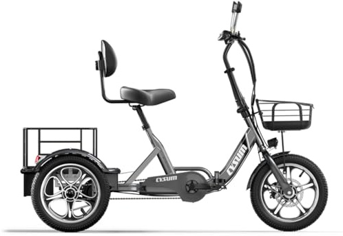 cysum T1 Pro Tricycle électrique pour Adultes, 3 Roues Pliant vélo électrique, Batterie Lithium 48v 22 ah, 16'' Cargo E-Tricycle Homme Femme,Moteur de 250 W (16'' Gris)