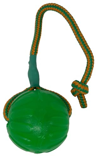 Starmark Everlasting Fun Ball on a Rope Dog Toy,Greens,Medium/Large