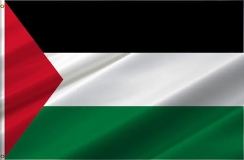 Ainid Bandiera della Palestina, bandiera della Palestina, 90 x 150 cm, con 2 occhielli in ottone, poliestere di alta qualità (bandiera della Palestina)