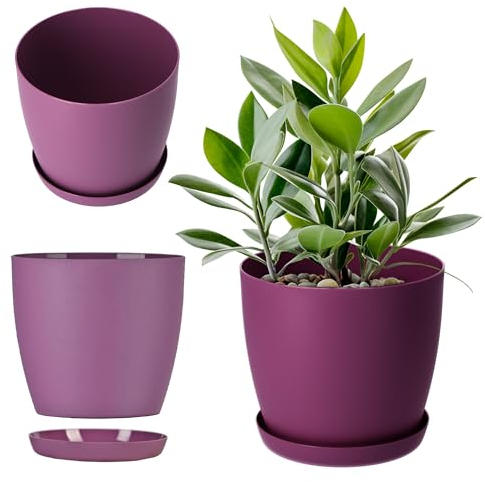 KADAX Vaso da fiori, fioriera con piattino, vaso da fiori rotondo in plastica, vaso opaco per cactus, felci, fioriera lucida per balcone, appartamento e terrazza (⌀ 14 cm, prugna)