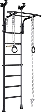 Generic Wallbarz Family 4D Espalier d'escalade mur de gymnastique, cadre d'escalade, équipement de gymnastique pour enfants, intérieur avec montage au plafond en noir