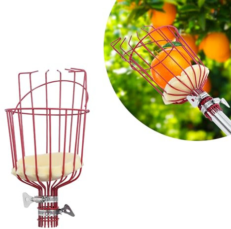 Fruit Picker For Fruit Harvesting As Accessory, Apple Picker For Aluminium Telescopic Poles,Fruit Catcher Gripper For Harvesting Apples Cherries,Can Be Used In Combination With Stainless Steel Handles