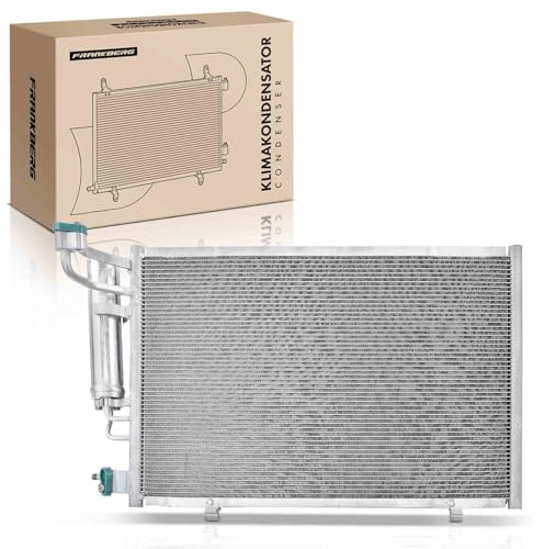 Frankberg Radiatore climatizzatore Condensatore Compatibile con Fiesta VI CB1 CCN 1.25 Fiesta VI CB1 CCN 1.4 Fiesta VI CB1 CCN 1.6 Ti Fiesta VI CB1 CCN 1.4 TDCi Fiesta VI CB1 CCN 1.4 LPG 3881,1756718