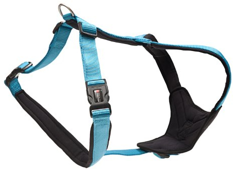 Wolters Cat&Dog Professional Comfort 62564 Geschirr Gr.7 90-110cm x 35mm aqua/schwarz