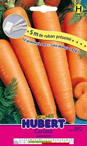 Ruban Présemé Graines de Carotte Juwarot