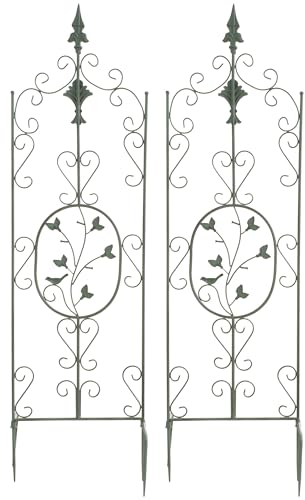 CLP Jeu de 2 treillages Burgus en Fer I Support pour Plantes grimpantes de Style Rustique, Couleur:Vert Antique