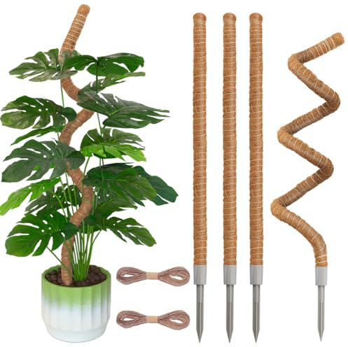 Ledanba Confezione da 4 pali di muschio, 80 cm, per piante rampicanti Monstera, paletti pieghevoli in fibra di cocco per piante in vaso, filodendro, Pothos (80 cm x 4 pezzi)