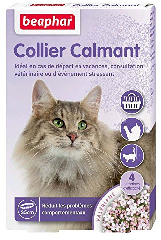 BEAPHAR – NO Stress – Collier calmant à la Valériane pour Chat – Réduit Le Stress et Les problèmes comportementaux sans dépendance ni Somnolence – 1 Collier 35 cm – 4 semaines d'action