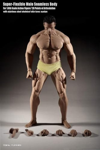 OBEST 1/6 Gliederpuppen Zeichenpuppe Modellpuppe Körper Figur Männlich 12 Zoll Super Flexible Nahtlose PL2018-M35 28 cm Mit Metall Skelett (Nicht enthalten Kopf Sculpt)