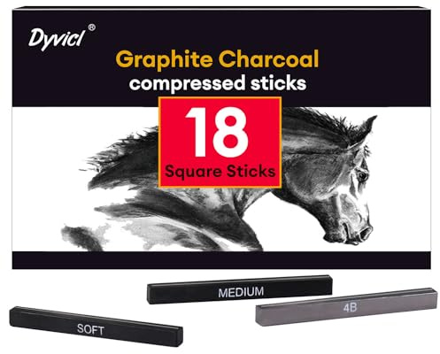 Dyvicl Lot de 18 bâtons de charbon de bois compressés - Carrés, noirs et blancs - Pour croquis, dessin, ombrage, mélange, lot de 18