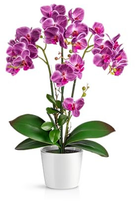 PASCH® Orchideen Künstlich in Hochglanz-Keramiktöpfen (46cm) | Kunstblumen Wie Echt | Künstliche Orchideen im Topf (Lila)