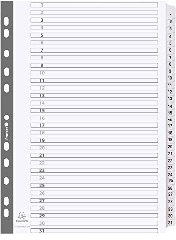 Exacompta - Réf. MWD1-31Z - Intercalaires en carte blanche 160g/m2 FSC® avec 31 onglets imprimés numériques de 1 à 31 et plastifiés - Page d'indexation imprimable - Format à classer A4