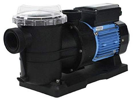 Pompe de filtration mini clair 0.75 cv o'clair
