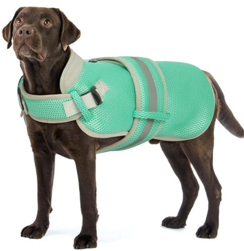 OUOBOB Large Dog Cooling Vest, Breathable Adjustable Mesh Jacket - Reflective & D-Ring for Safety, Ideal for Hot Weather, Walking, Hiking (Green, XL)
