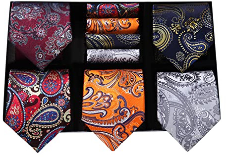 HISDERN Mens Tie Set 5 Packs Silk Necktie and Pocket Sqaure Formal Business Classic Multiple Ties for Men Wedding Neckties Handkerchief with Gift Box