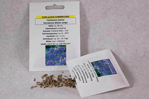 gefüllte Kornblume Blauer Junge Kornblumensamen Kornblumensaat für ca. 100 Pfl. Bauerngarten Blumensamen
