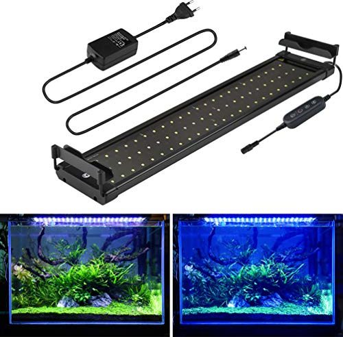 BELLALICHT Aquarium LED Beleuchtung, mit Timer, Dimmbare Aquariumbeleuchtung Lampe Weiß Blau Licht 11W mit Verstellbarer Halterung für 50cm-70cm Aquarium