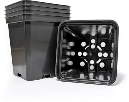 Elixir Gardens Square Plant Pot | 0.75 Litre Black Recycled Plastic Nursery/Seedling or Cutting Pots (9cm x 9cm x 10cm) x 100