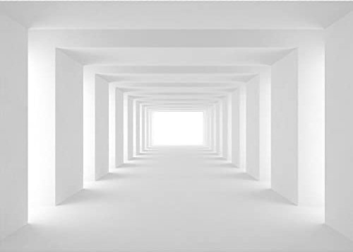 Runa Art Papier peint intissé 3D Effekt 352 x 250 cm Toison Mur XXL Tableaux Muraux Tapisserie Photo Décoration Murale Salon Chambre Grau 9404011c