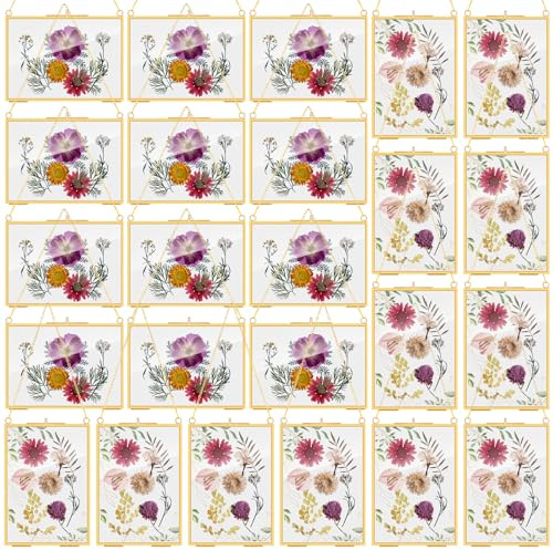 Barydat 12 Pack Pressed Flowers Glass Frames, 5 x 7 Inch Brass Hanging Floating Frame with Chain, Double Glass Photo Display for Dried Flowers, Plant Specimen, Artwork Display (Gold)