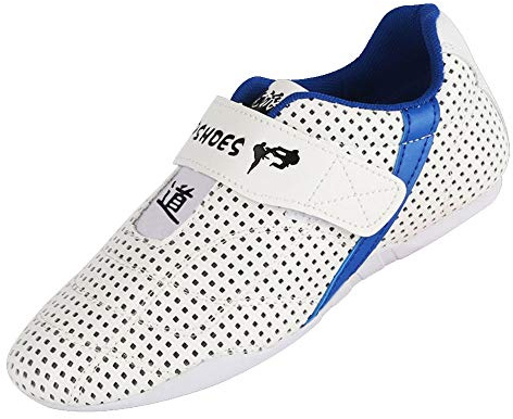 Taekwondo Shoes, Kung Fu Taekwondo Indoor Mat Training Shoes Soft Rubber Soles Martial Arts Sneaker for Women Men Kong Fu Taichi (Color : White, Size : 41)