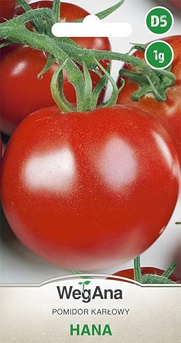 WegAna Pomodoro Hana 1g Semi di pomodoro nano Semi di pomodoro robusto Semi di ortaggi Semi di coltivazione per serra Giardino Medio Precoce