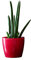Blumentopf Pflanzkübel Pflanzgefäß Übertopf Kunststoff Glanz Rund Rot D 135 mm H 119 mm