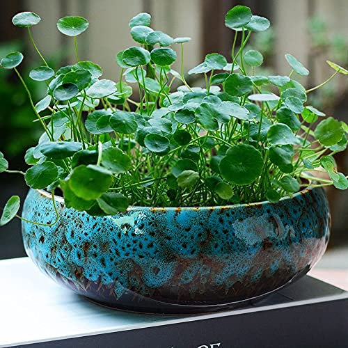 Grand bol de jardinière rond pour plantes succulentes, pot de bonsaï vintage en céramique émaillée, décoratif de jardin, de cactus, de fleurs, pour la décoration de la maison, du bureau (vert)