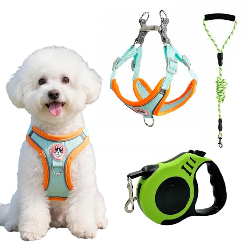 XFSRG Arnés para Perros Pequeños Arnés Chaleco Ajustable y Transpirable Arnés Perro Mediano con Diseño Colorido Ideal para Paseos y Actividades al Aire Libre (S)