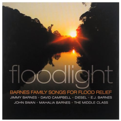Floodlight