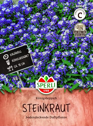 SPERLI Steinkrautsamen Königsteppich – einjähriger Duftsteinrich, mehrfarbige Polsterpflanze bis 15 cm, duftend, für Steingarten, Balkonkasten, Topf und Einfassungen, 1 Portion