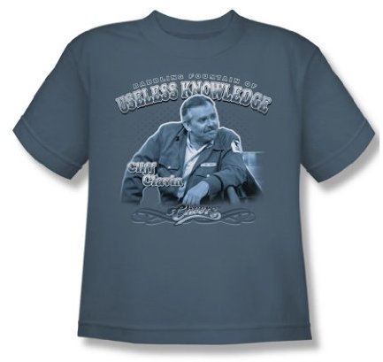 Cbs - Fountain Of Knowledge Youth T-Shirt In Slate, Large (14-16), Slate