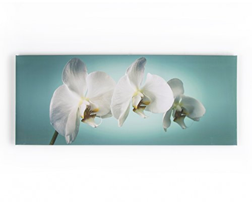 Art For The Home Teal Orchid Floral Printed Canvas - Teal & White Wall Art - Contemporary tranquil orchid photographic design - Hang the wall - Feature design - cover for small cracks