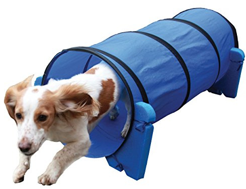 Rosewood Small Dog Agility Tunnel