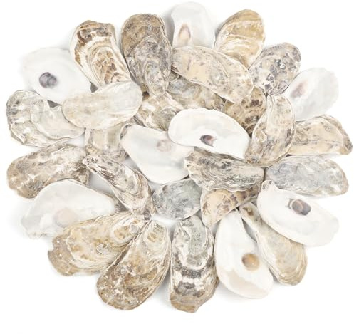 TaoQ C 30 PCS Oyster Shells 2-3 Small Oysters Shells Natural Oyster Seashells for Crafts Beach Theme Party Fish Tank and Vase Filler Home Decoration