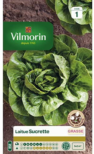 Sachet graines Laitue Sucrette