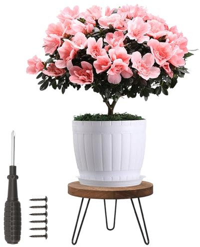 KEGAJEGA Taburete de madera para flores, 25,4 x 25,4 x 17,8 cm, soporte para plantas, soporte para macetas, para jardín, balcón, salón, dormitorio