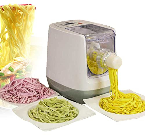 CHUNTIANMEI 260W Pasta Maker Machine for Spaghetti Noodle Fettuccine with 13 Pasta Shape Mold for Spaghetti Fettuccine Penne Lasagna Wide Noodle Homemade Dumpling Skin