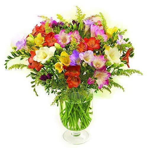 Sendabunch Mixed Freesia Bouquet – 30 Fresh Scented Stems, Hand-Picked Channel Island Flowers – 8-Day Freshness Guarantee – Ideal for Birthdays & Anniversaries