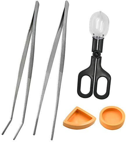 2Pcs Stainless Steel Feeding Tongs, Reptile Feeding Tweezers Long Handle Feeder Tools, Bug Feeding Clamp Cricket Tongs for Fish Aquariums, Reptiles Snakes Lizard Gecko Spider and Bird (Set 1)