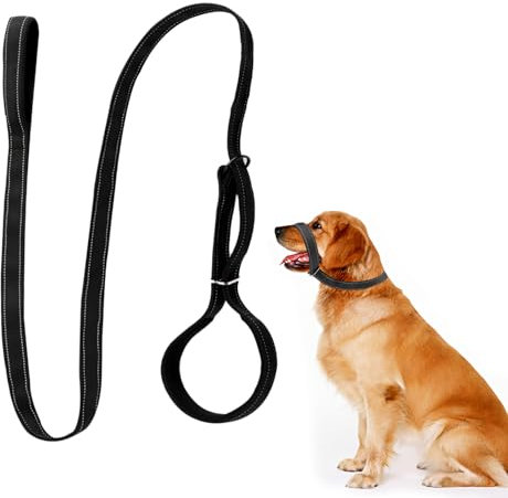 MIYUANGKJ Figure of 8 Dog Lead 2.5 * 180cm, Reflective Dog Lead with Soft Comfy Padded Loop Handle and Nose Pads, Adjustable Dog Lead for Training, Flat Rope for Small Medium Large Dogs
