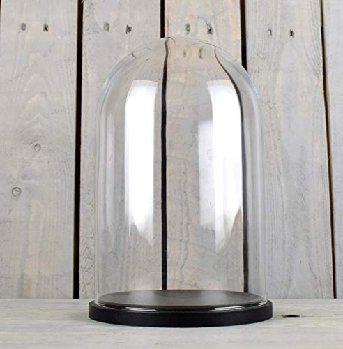 EMH Mittelgroße Glaskuppel mit schwarzem Sockel, Höhe 31 cm