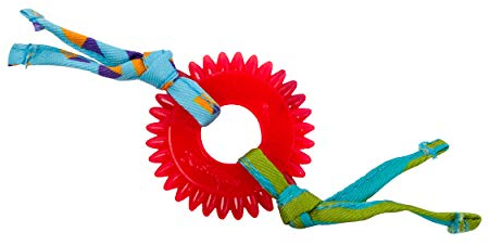 Catstages Kitty Chew Wheel - Katzenspielzeug mit Katzenminze - Gummiring für die Zahnpflege