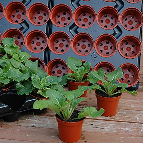 YouGarden Professional Shuttle Large Trays, 90 Pots 9cm Diameter With Drainage Holes, Sturdy Plastic Plant Pots, Professional Rigid Growers, Easy To Carry, Perfect For Potting Up, Garden Equipment